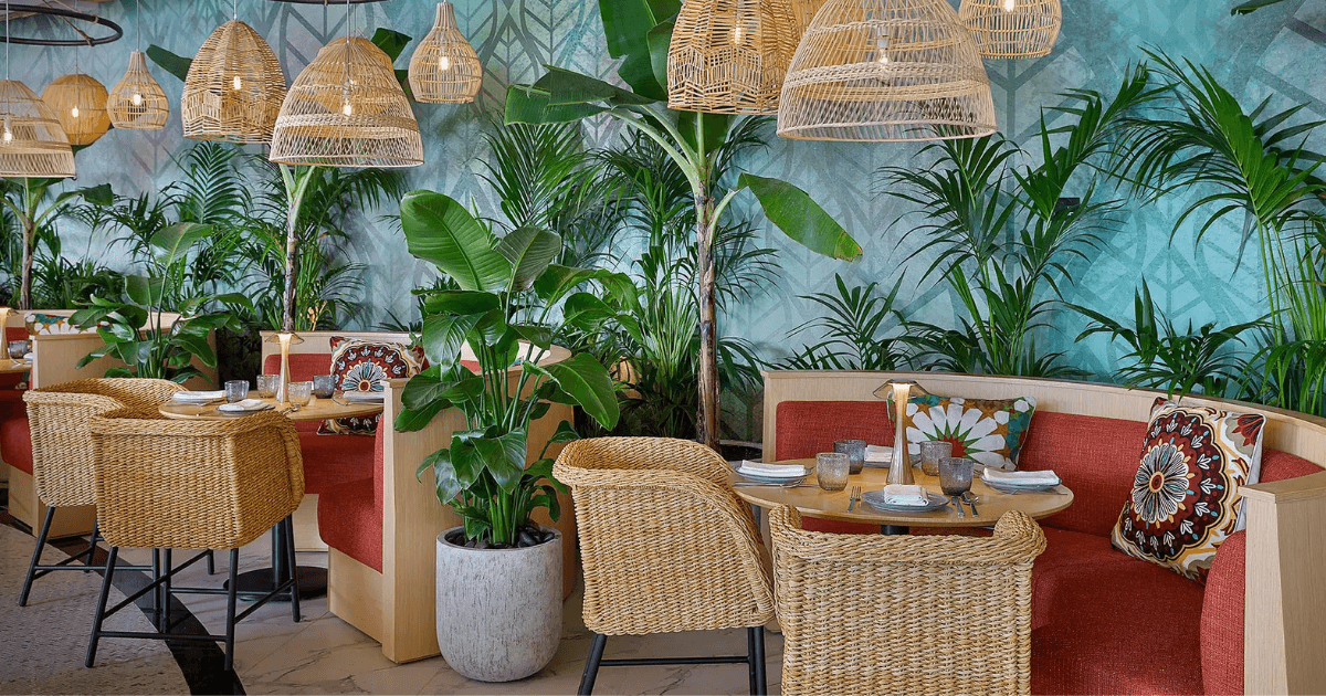 Dining area at a restaurant