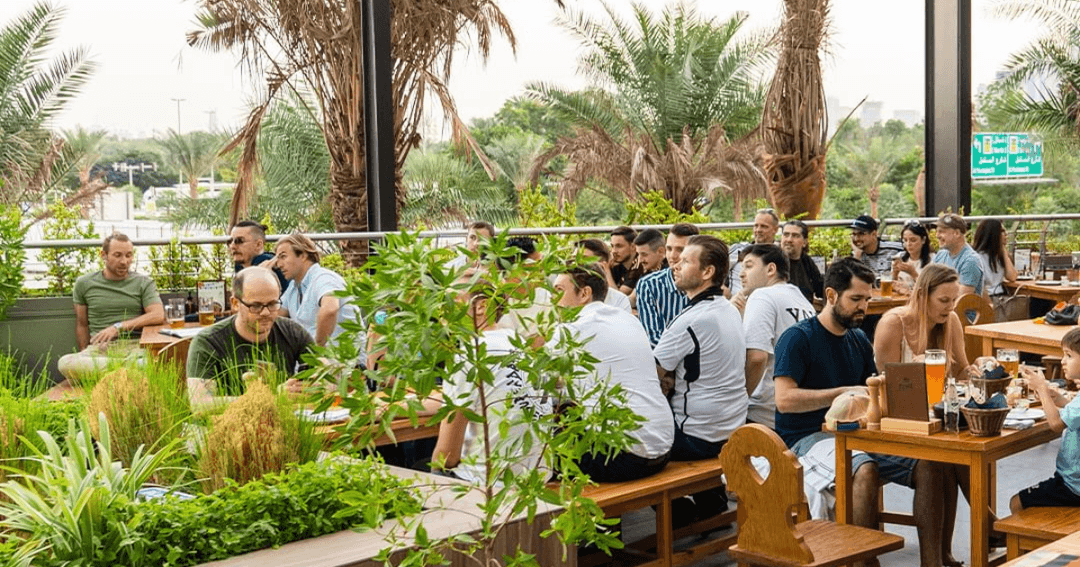 people dining and drinking outside 